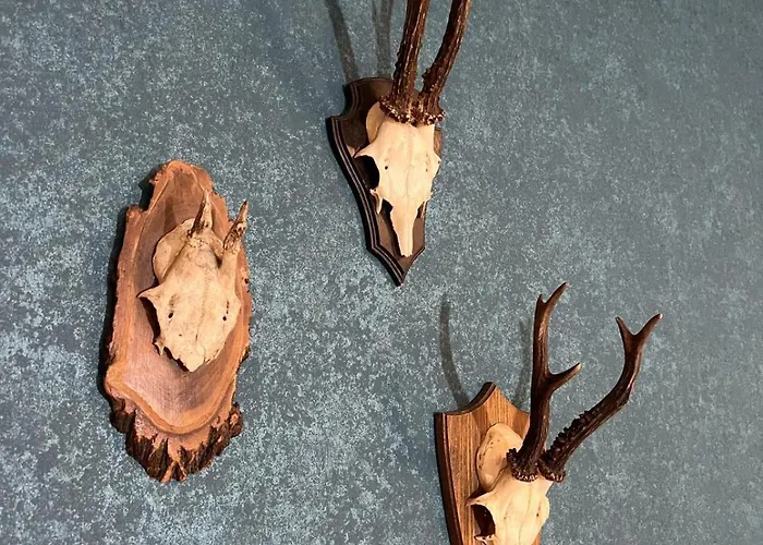 Apartment Haus Bergquell App 1 *